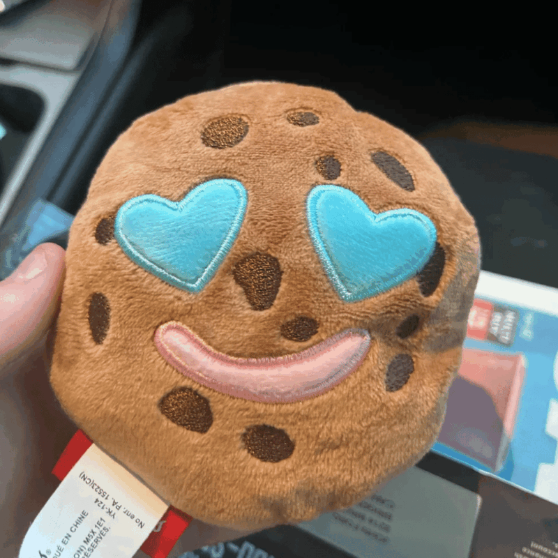 Customer Reviews